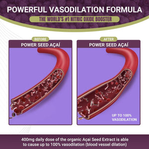 Acai Berries Seed Extract Organic Superfood and Antioxidant Supplement - Power Seed
