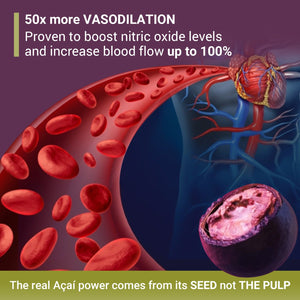 Acai Berries Seed Extract Organic Superfood and Antioxidant Supplement - Power Seed